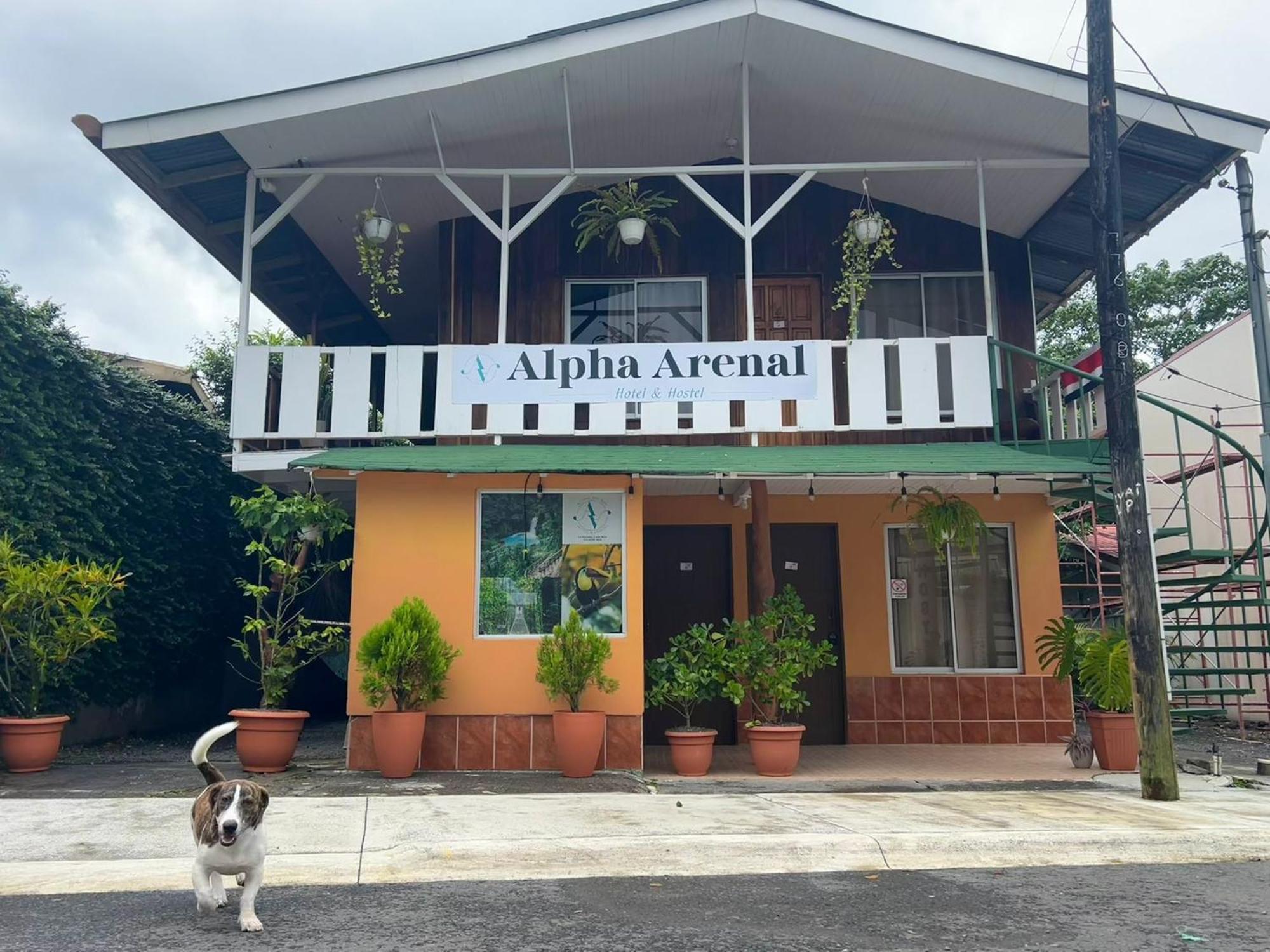 Alpha Arenal Hostel La Fortuna Exteriör bild